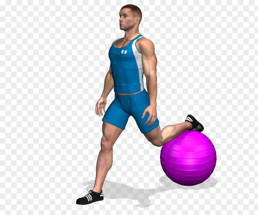 Squat Fitness Physical Exercise Balls Quadriceps Femoris Muscle Dumbbell PNG
