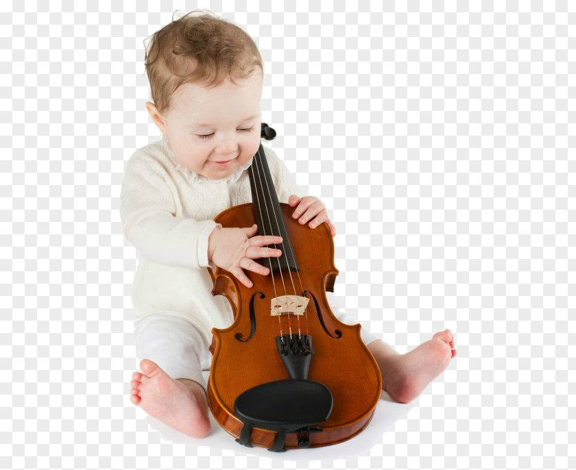 String Instrument Musical Violin Family PNG