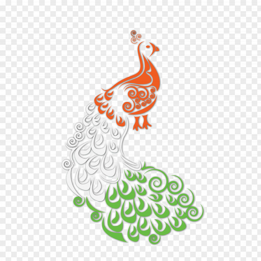 Vector Colorful Hollow Peacock Peafowl Illustration PNG