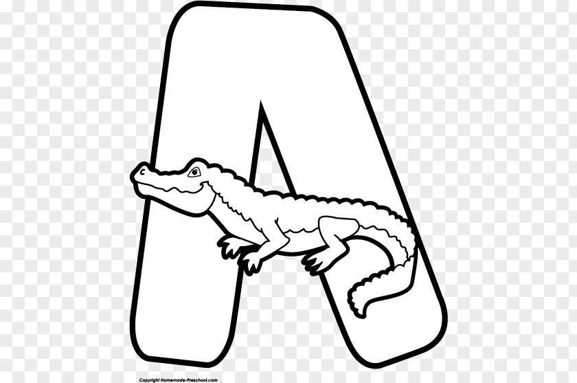 Crocodile Alligators Clip Art Image Illustration PNG
