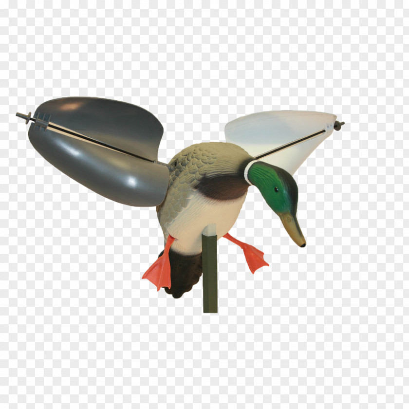 Duck Mallard Decoy Hunting PNG