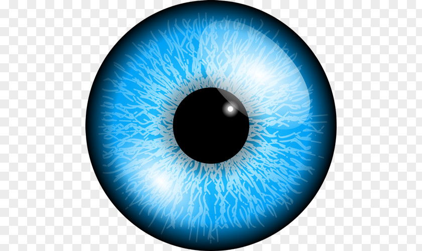 Eyeball Human Eye Iris Clip Art PNG
