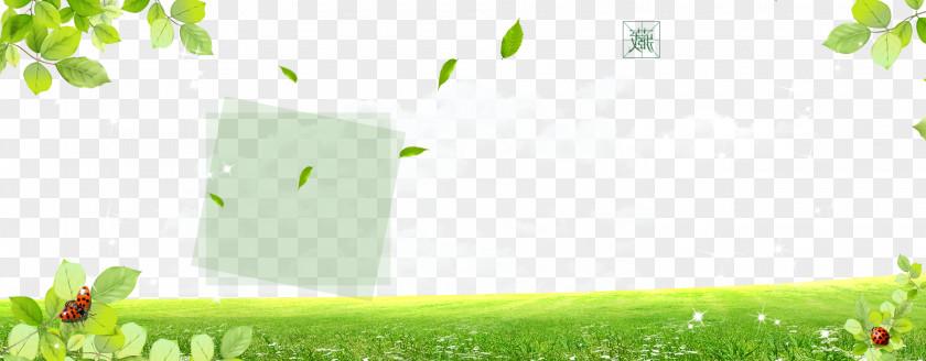 Fresh Background Map Branch Meadow Lawn Wallpaper PNG