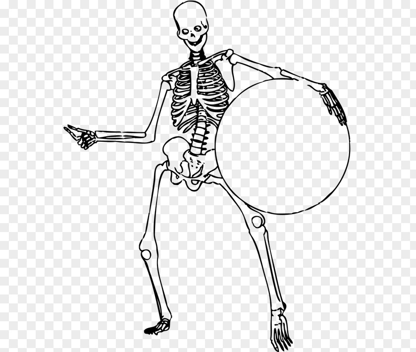 Skeleton Human Bone Body Vertebral Column PNG