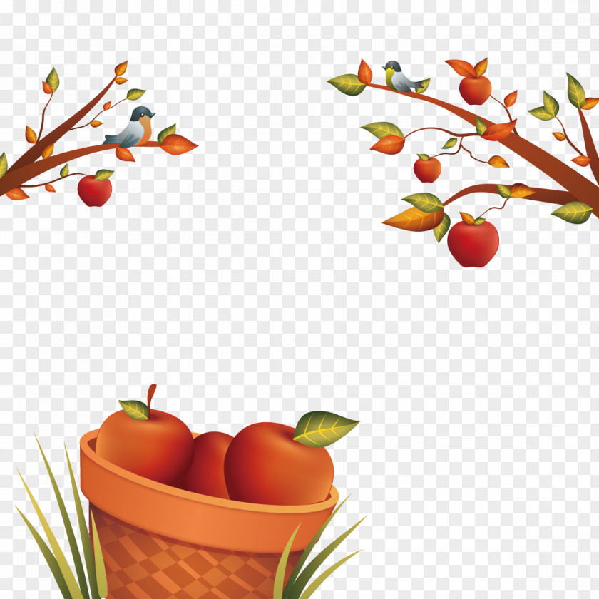 Vector Apple Harvest PNG