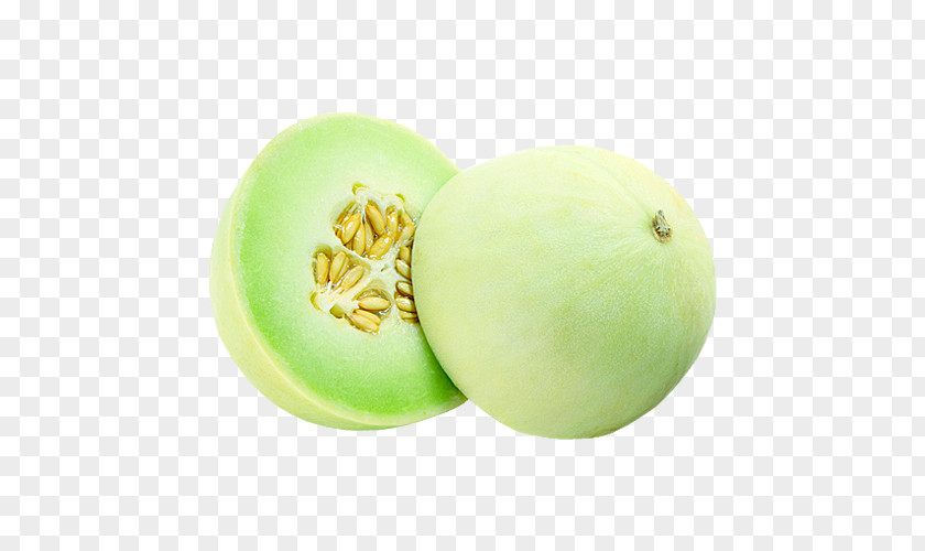 Melon Honeydew Cantaloupe Fruit Vegetable PNG