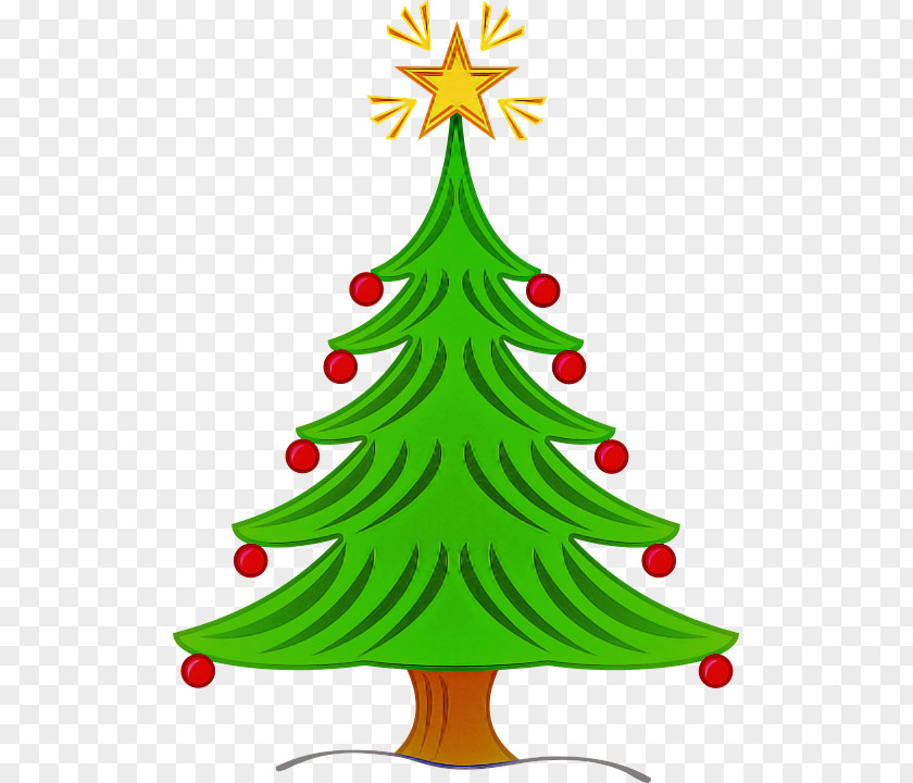 Pine Evergreen Christmas Tree PNG