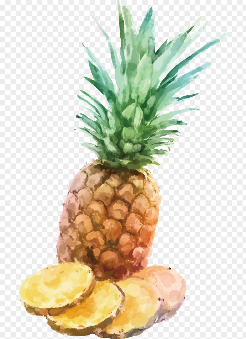 Pineapple Watercolor Painting INGE S.p.A Illustration PNG