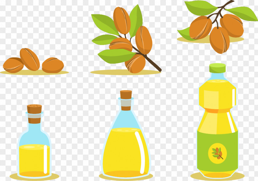 Vector Material Oil Extraction Vegetable Argan PNG