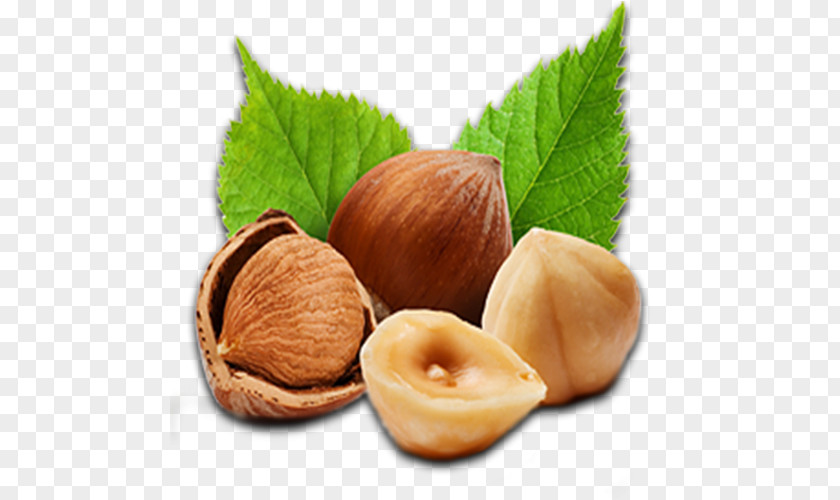 Common Fig Chestnut Chocolate Cartoon PNG