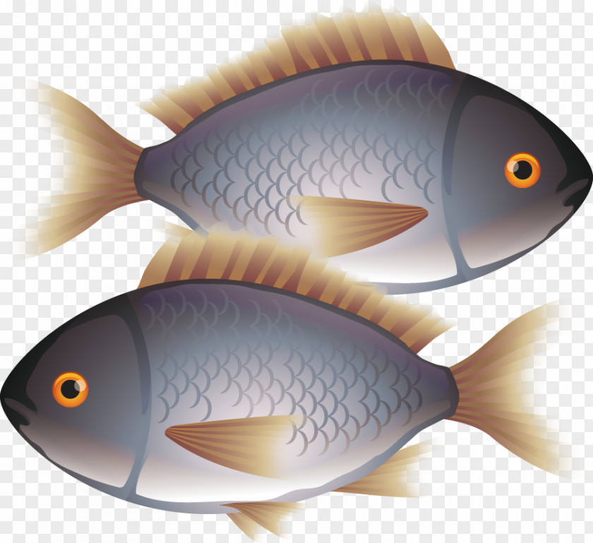Fish Painted Pollution Eating Euclidean Vector PNG
