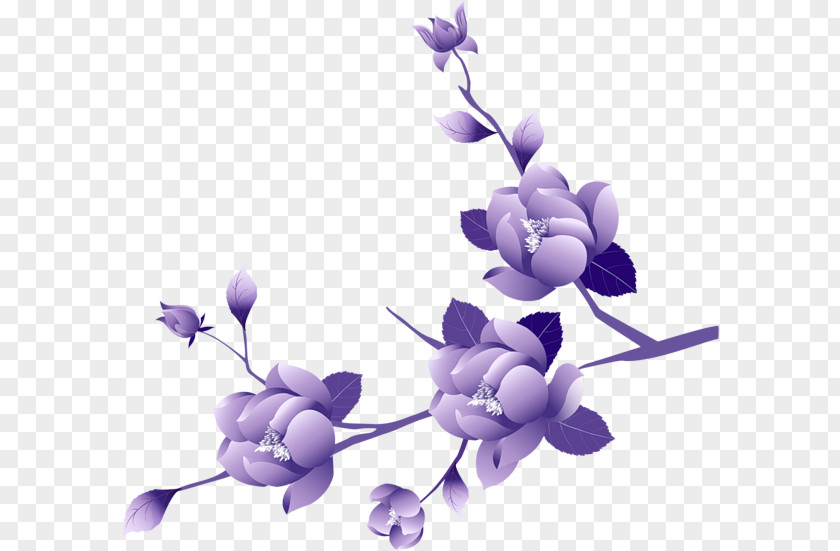 Petal Branch Lavender PNG