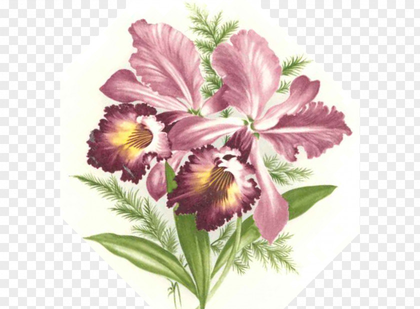 Purple Orchid Clip Art Cut Flowers Floral Design Vase Flower Bouquet PNG