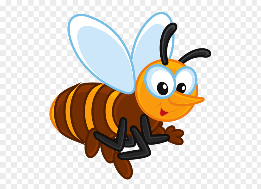 Bee Western Honey Insect Clip Art PNG