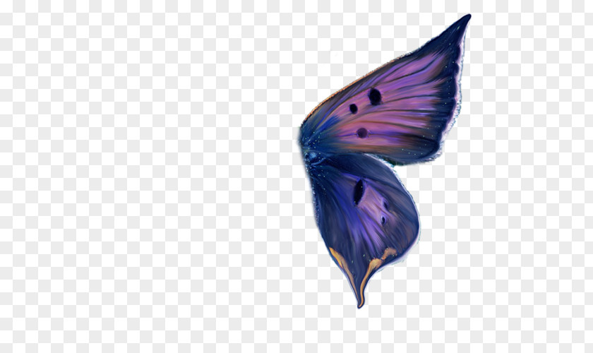 Butterfly Ulysses Wing Paper PNG