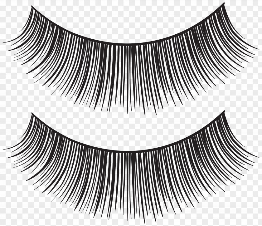 Eyelash Strips Transparent Clip Art Image Extensions Mascara PNG