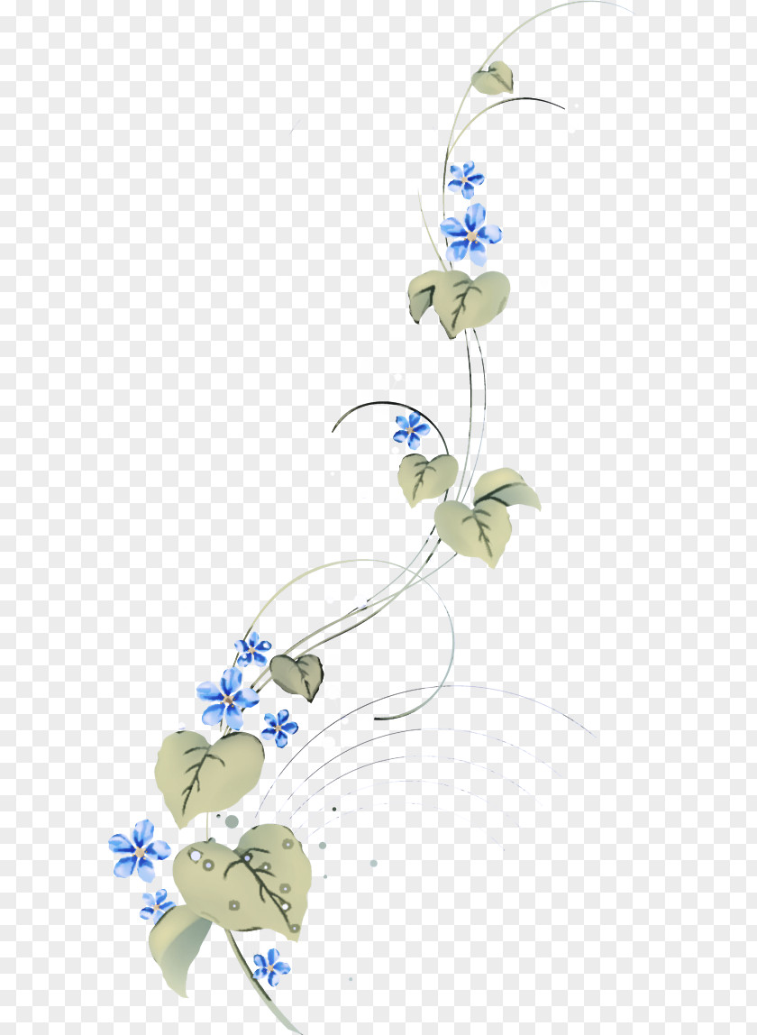 Forgetmenot Flowering Plant Flower Morning Glory Clip Art Wildflower PNG