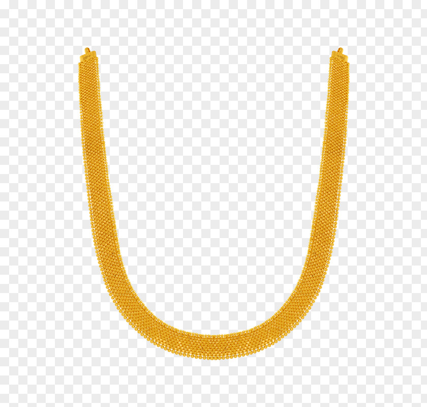 Jewellery Necklace Gold PNG