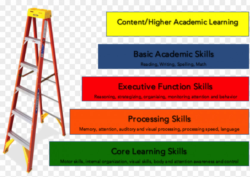 Ladder Of Success Study Skills Learning Student Adolescent Literacy PNG
