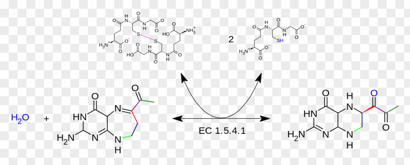 Liquid Chromatography–mass Spectrometry Spectrometer Molecule Font PNG