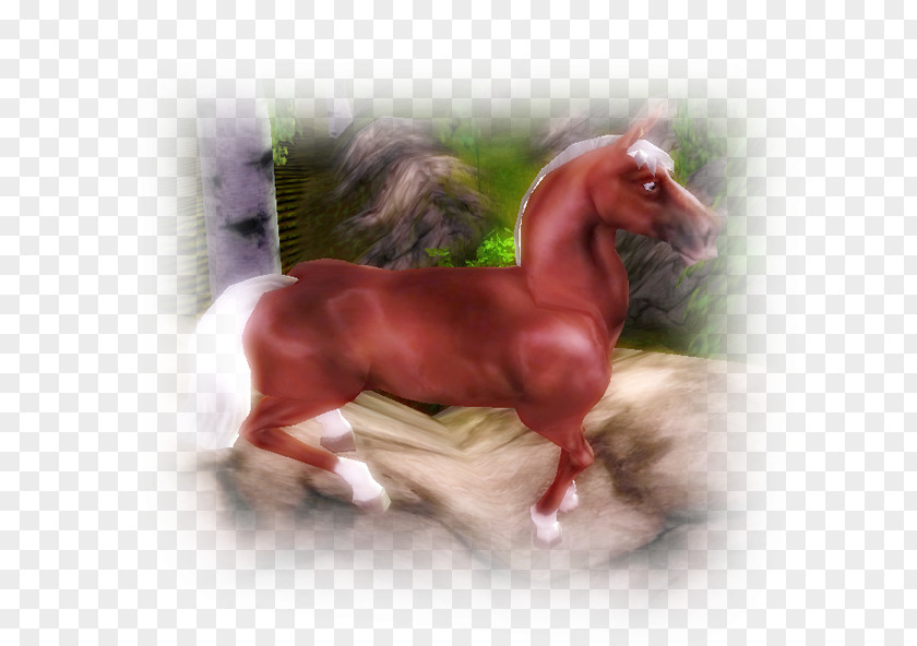 Mustang Mane Foal Pony Stallion PNG