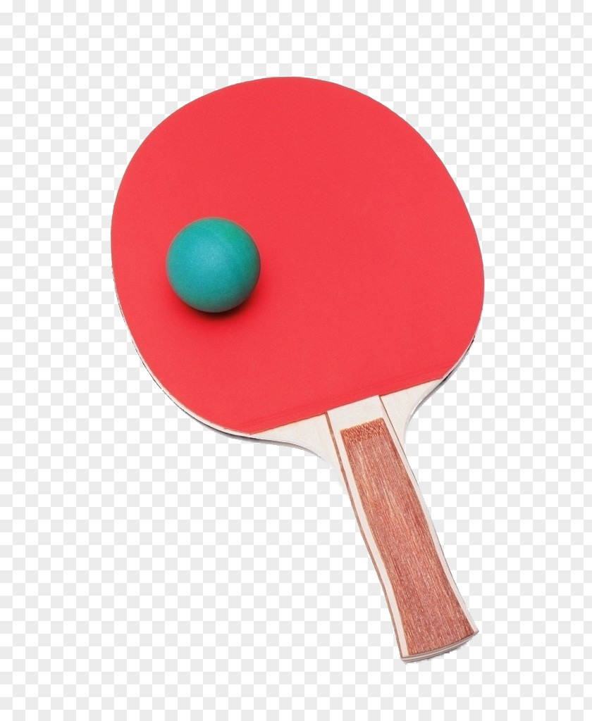 Ping Pong Paddle Table Tennis Racket PNG