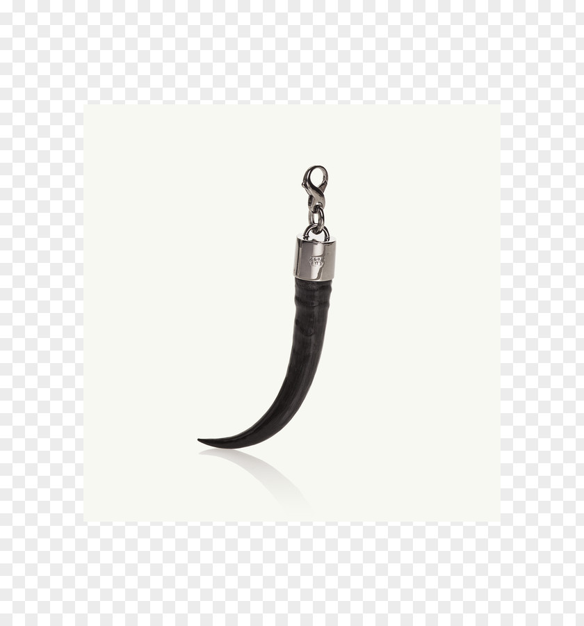 Silver Earring PNG