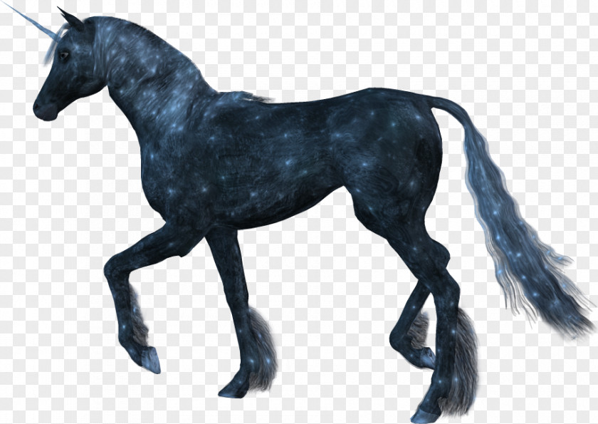 Unicornio Horse PNG