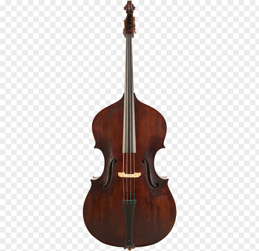Bass Double Guitar Violin String Instruments Cello PNG
