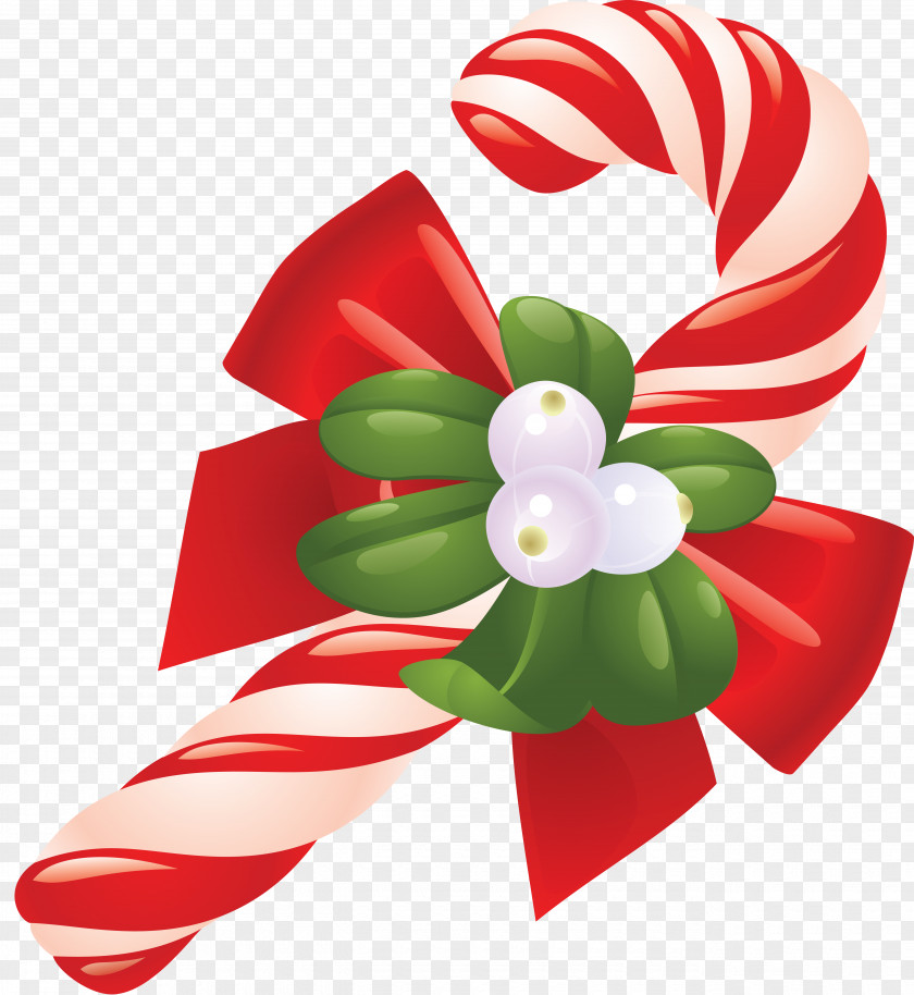 Christmas Candy Ded Moroz Cane Stick PNG