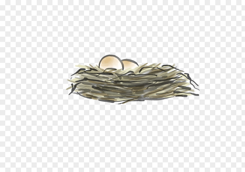 Nest Chicken Egg PNG