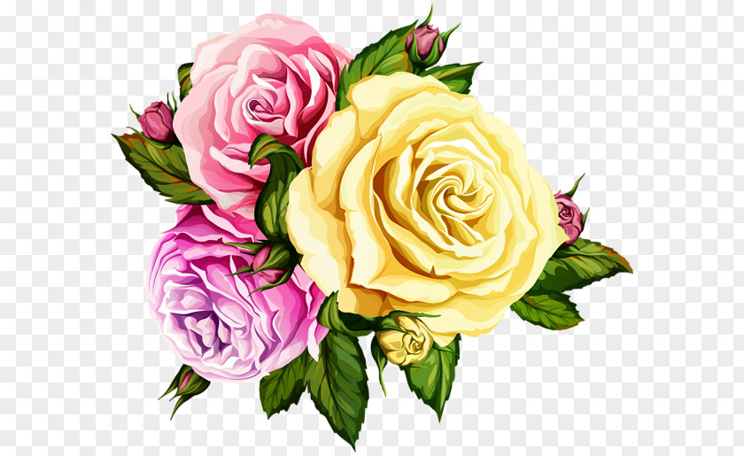 Pink Roses Background Gallery Yopriceville Garden Image Flower Clip Art PNG