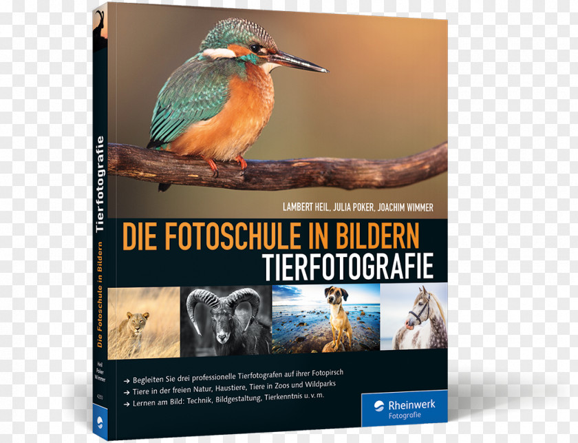 Book Die Fotoschule In Bildern. Tierfotografie Germany Wildlife Photography Wildlife-Fotografie: Frei Lebende Tiere Deutschland Und Europa Fotografieren PNG