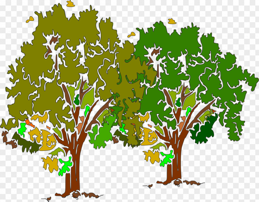 Gardening Decorative Tree PNG