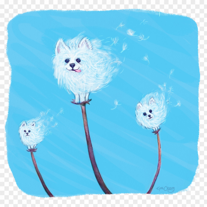 Pomeranian German Spitz Samoyed Dog Whiskers Dachshund PNG