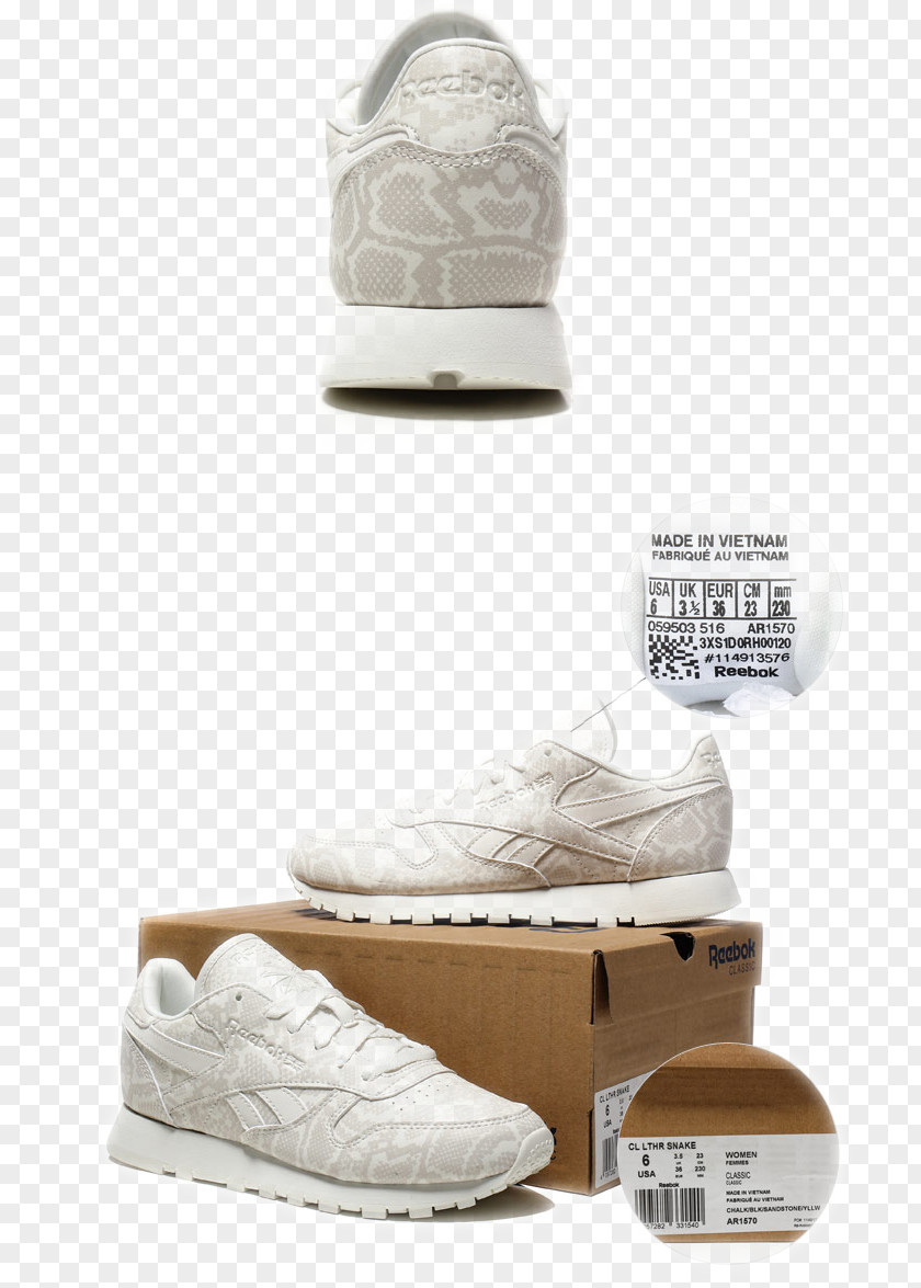 Reebok Shoes Sneakers Shoe Size Brand PNG