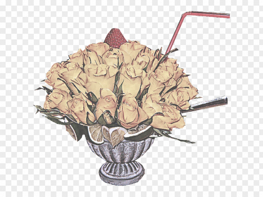 Rose Hydrangeaceae PNG