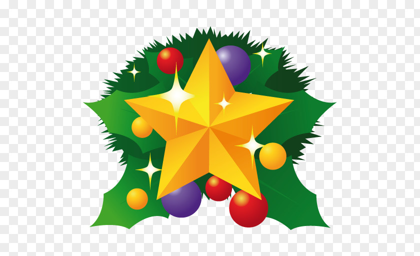 Christmas Star Pine Family Ornament Leaf Symmetry Tree PNG