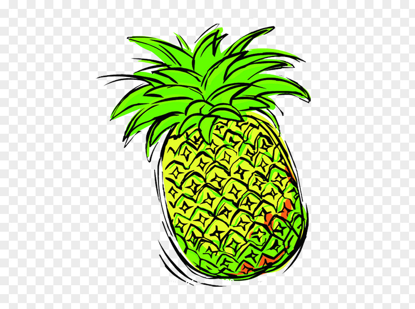 Creative Image Painted Pineapple Auglis PNG