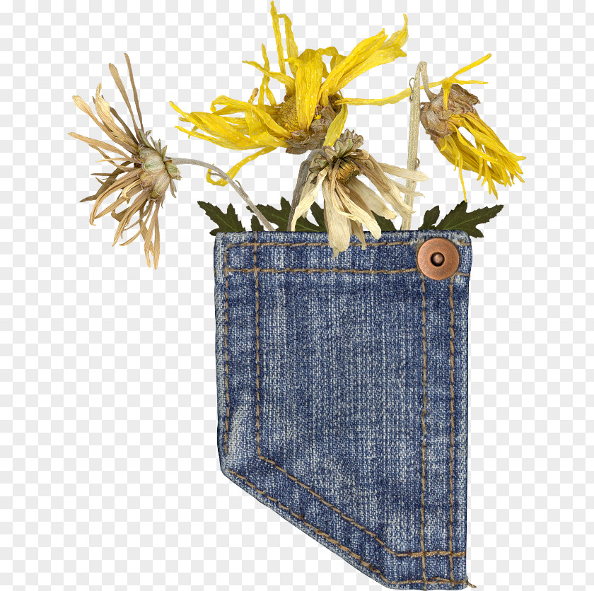 Jeans Denim Pocket Clip Art PNG