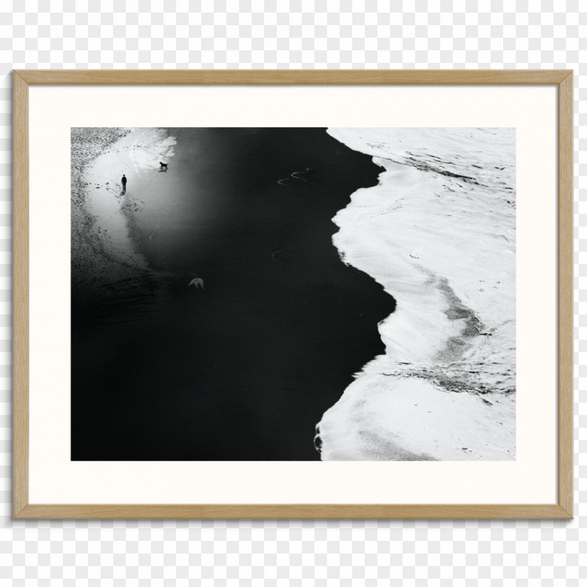 Lonely Goose Photograph 500px Picture Frames Black And White Tir PNG