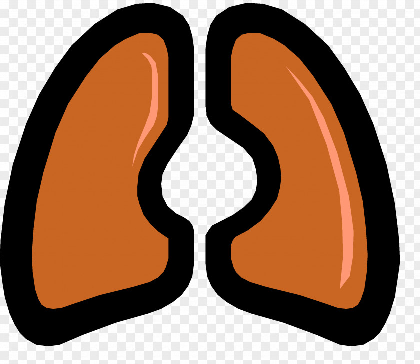 Lungs Lung Idiopathic Pulmonary Fibrosis Respiratory System Disease Chronic Obstructive PNG