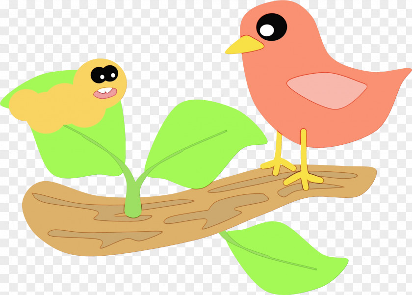 Bird Beak Finch Songbird Perching PNG