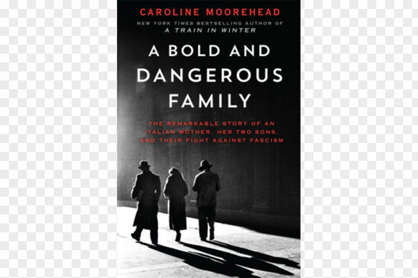 Book A Bold And Dangerous Family: The Remarkable Story Of An Italian Mother, Her Two Sons, Their Fight Against Fascism Train In Winter: Resistance, Friendship Survival Village Secrets E-book PNG