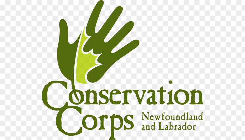 Conservation Corps Newfoundland And Labrador Dog Change Islands & Down Syndrome Society Retriever PNG