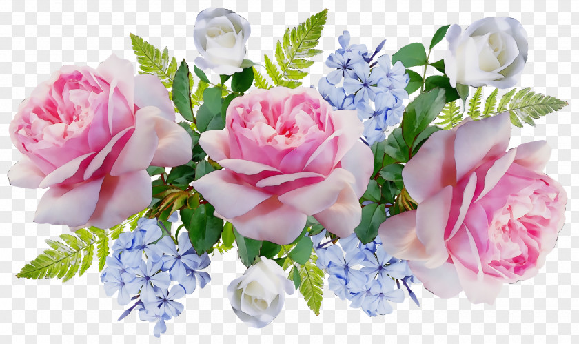 Garden Roses PNG