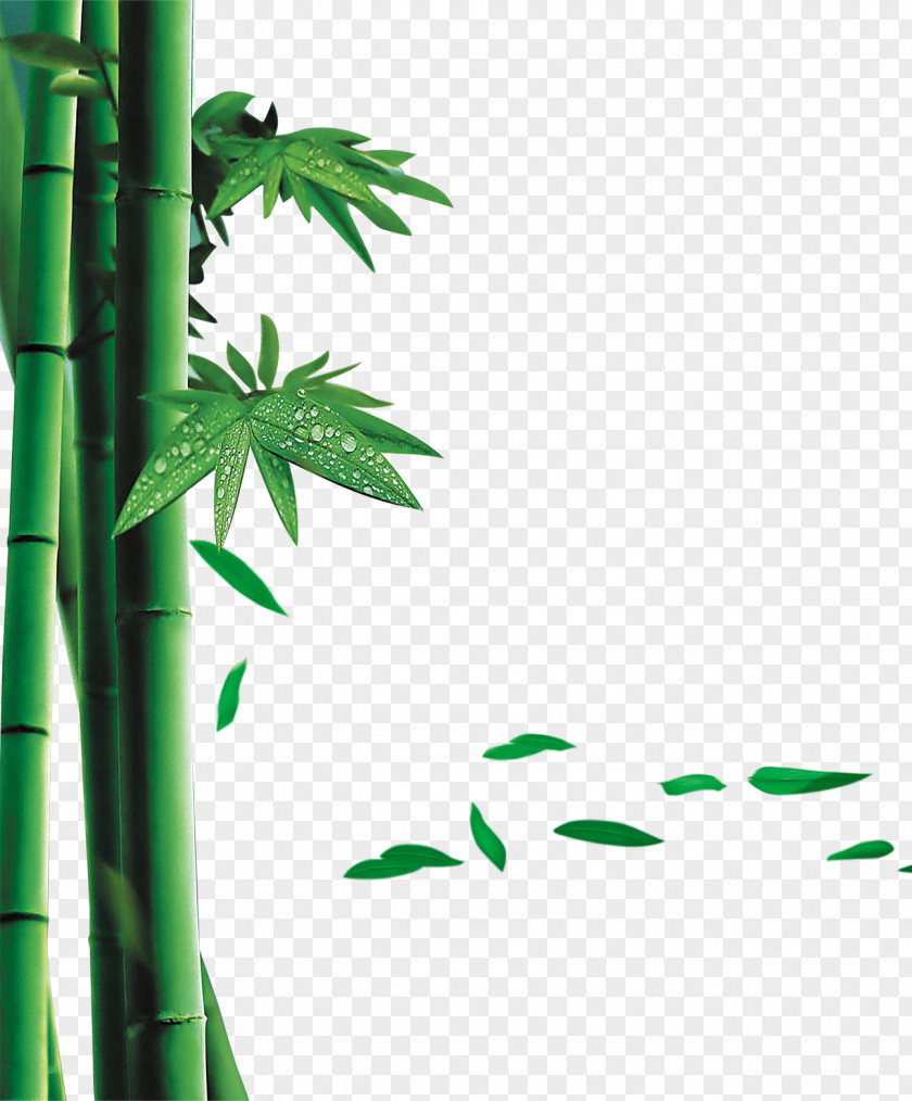 Green Bamboo Zongzi U53f0u6e7eu7aefu5348u8282 Dragon Boat Festival Traditional Chinese Holidays PNG