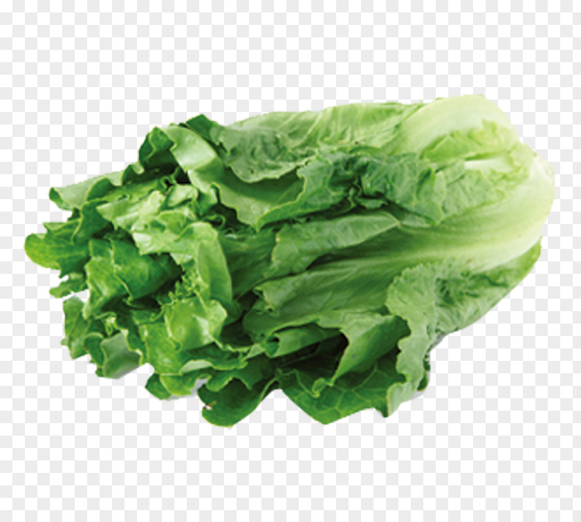 Green Vegetables Leaf Vegetable Lettuce Food Nutrition PNG