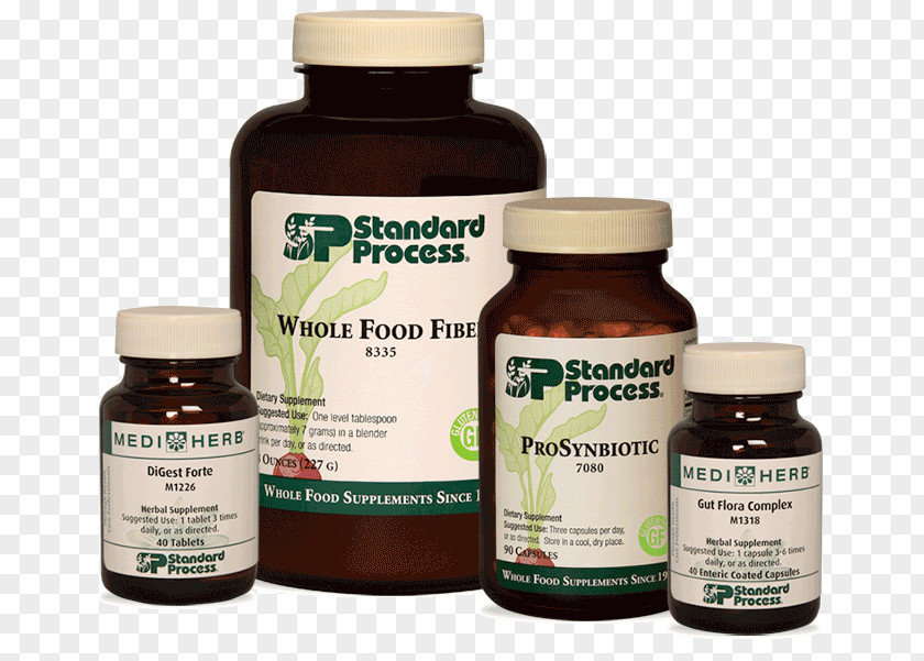 Health Dietary Supplement Gut Flora Gastrointestinal Tract Standard Process Inc. PNG
