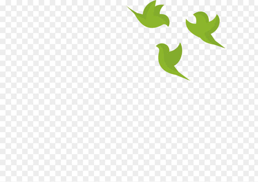 Leaf Logo Green Desktop Wallpaper Font PNG